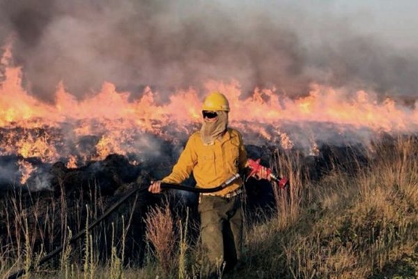 Crearán cuerpos especializados y capacitados en la lucha de incendios forestales