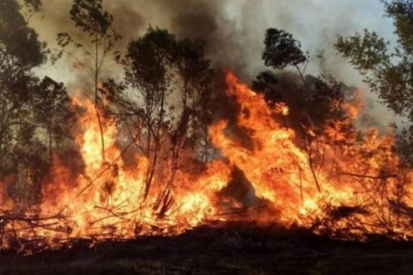 Persisten los incendios forestales en Corrientes, Río Negro, Misiones, Chubut y Formosa
