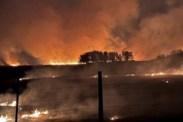 Defensa Civil estima que los incendios
