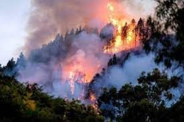 Defensa construyó una plataforma virtual para gestionar emergencias como los incendios de Corrientes
