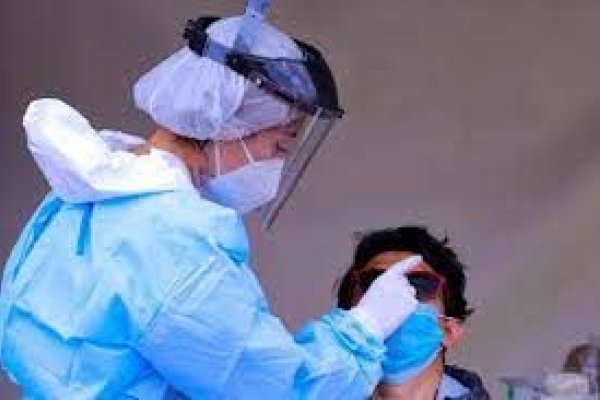 Un estudio reveló el impacto del COVID-19 en el sistema intestinal