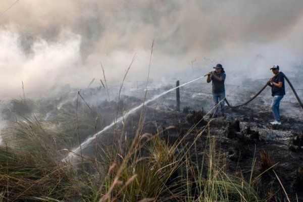 Estiman en más de $ 26.000 millones las pérdidas por los incendios en Corrientes