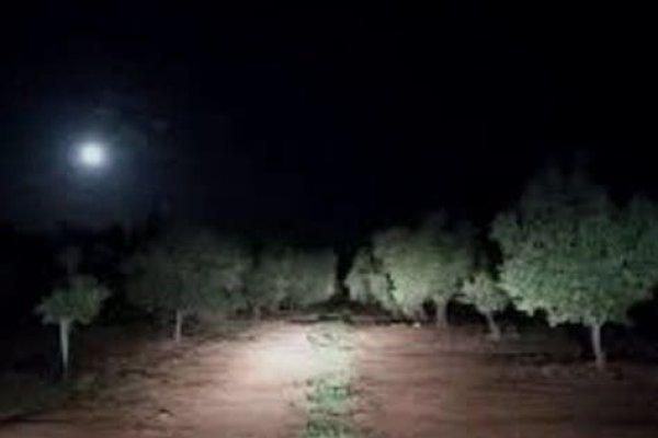 Sereno vivió la peor noche de su vida y contó todo: