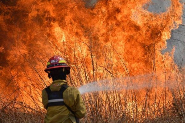 Estiman en más de $ 26.000 millones las pérdidas por los incendios en Corrientes