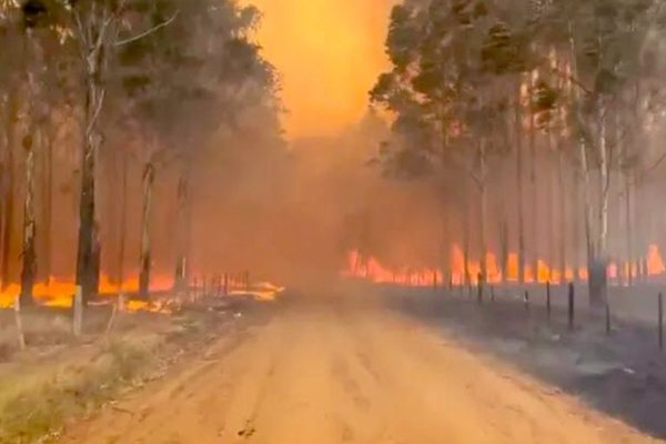 Disminuyeron los focos de incendios en Corrientes, tras la llegada de la lluvia
