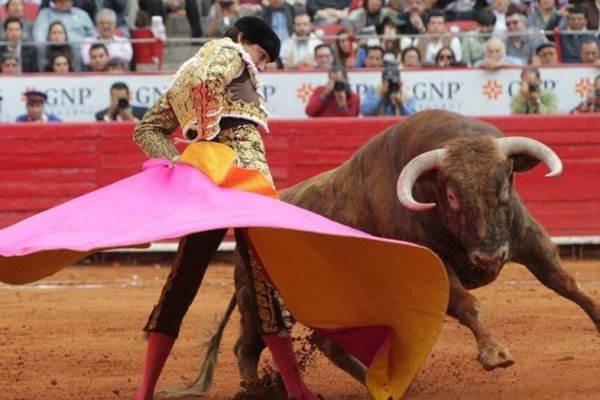 Iniciativa parlamentaria busca prohibir las corridas de toros en la Ciudad de México