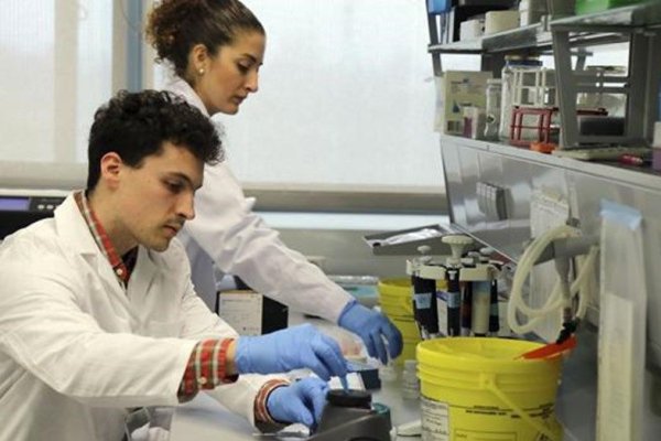 Investigadores españoles frenaron con un fármaco la metástasis en cáncer de mama