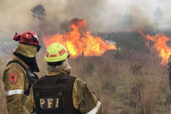 Drama en Corrientes: investigan 75 denuncias por incendios intencionales