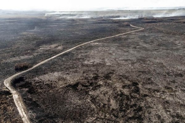 Se abrieron más de 70 causas por denuncias de incendios rurales intencionales en Corrientes