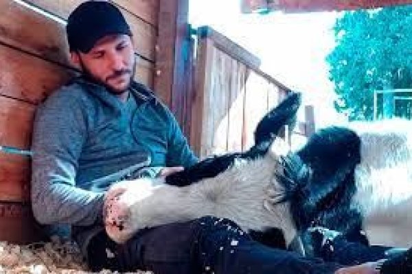 Un influencer juntó $10 millones y viajó a rescatar animales de los incendios en Corrientes