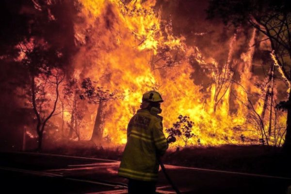 Los incendios forestales devastadores aumentarán para fin de siglo según la ONU