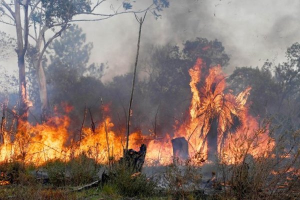 Corrientes: Disminuyeron a seis los focos de incendios activos en la provincia