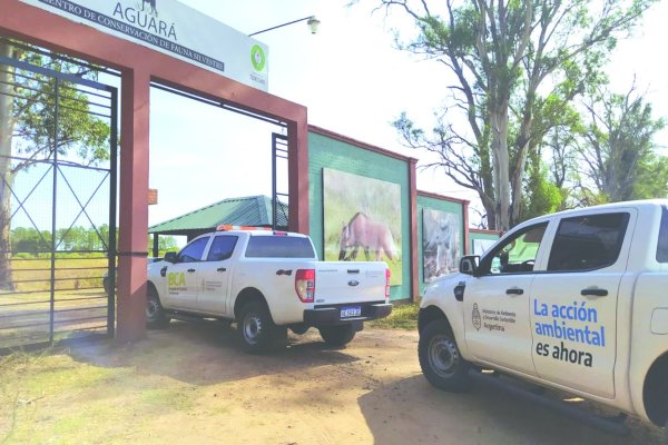 Sigue el rescate de la fauna silvestre en Corrientes