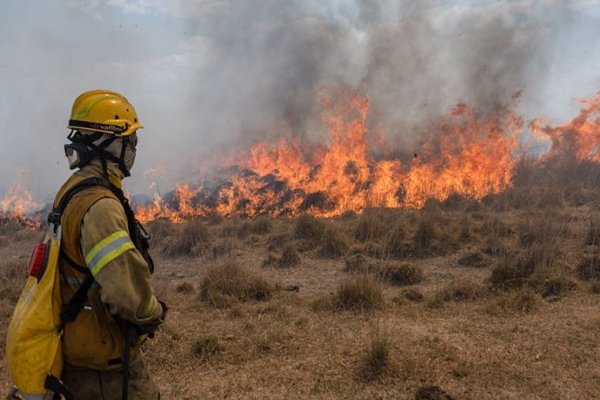 Corrientes y Río Negro registran focos activos de incendios forestales