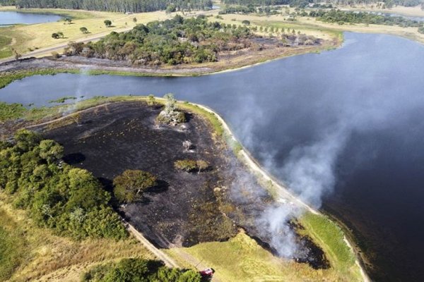Incendios forestales: hay focos activos en Corrientes y Río Negro