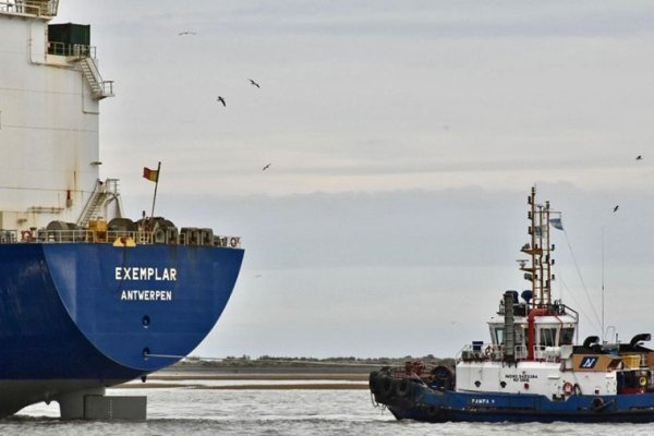 Se registró un récord de exportaciones de cereales y oleaginosas