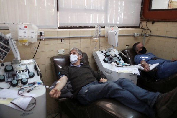 Coronavirus en Argentina: informaron 1.428 contagios y 21 muertes en las últimas 24 horas