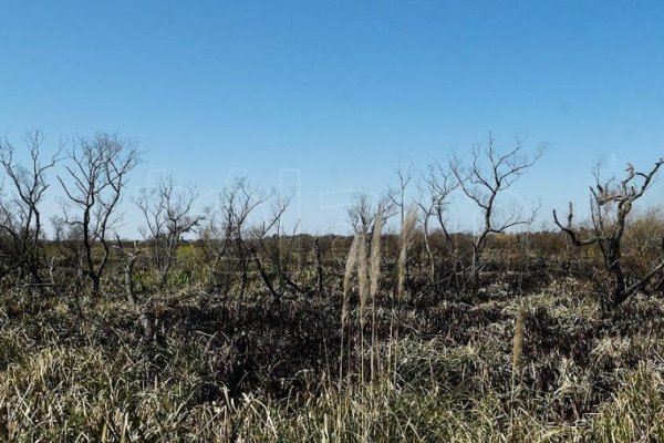 Hay un solo foco de incendio forestal, que se encuentra controlado