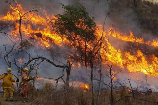 Hay un solo foco de incendio forestal, que se encuentra controlado