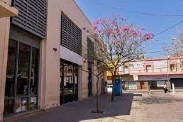 Sin atención al público en Licencias de Conducir, Rentas y Carnet Sanitario del municipio capitalino