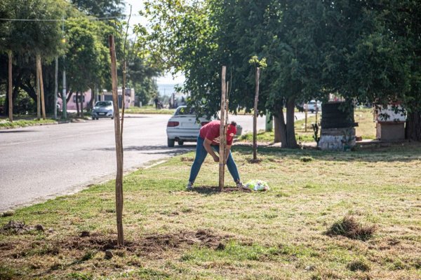 Continúa a paso firme el Plan de Forestación con 150 árboles por día