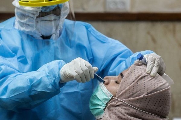 La OMS reportó la menor tasa de muertes por coronavirus desde el comienzo de la pandemia