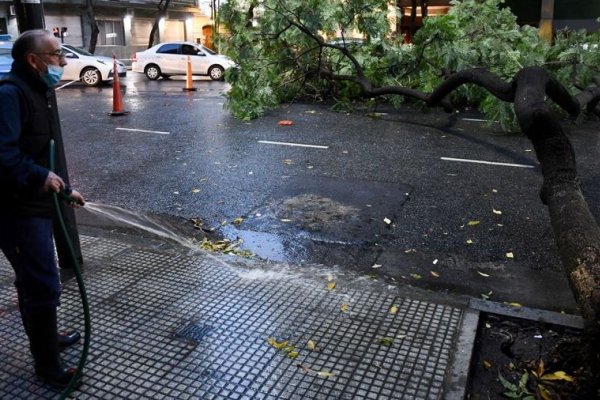 Lo que dejó el temporal: 400 árboles caídos en CABA y cortes de luz y voladura de techos en Buenos Aires