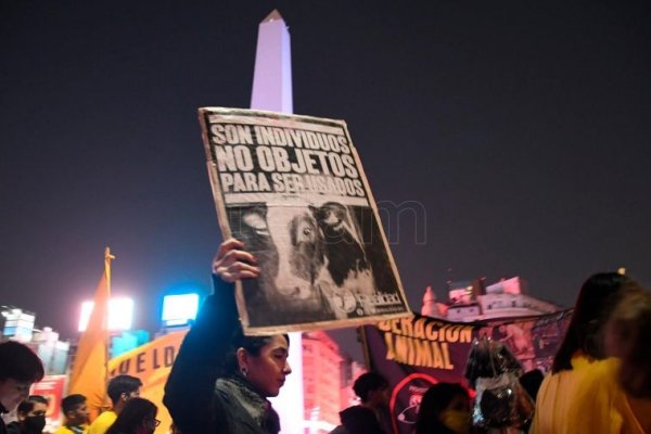 Proteccionistas y veganos marcharon al Congreso