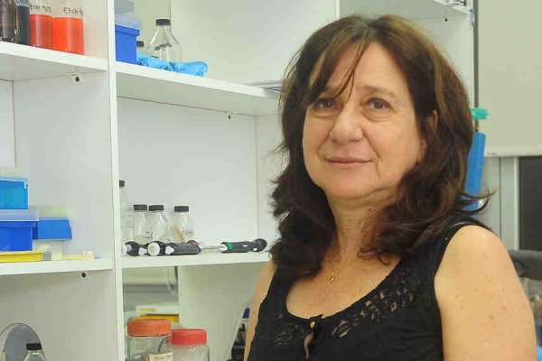 La científica que desarrolló la semilla de soja transgénica resistente a la sequía