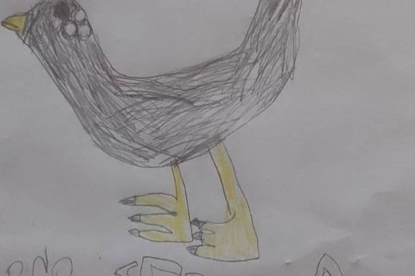 Una niña de 8 años recuperó a su gallina gracias a un dibujo y la ayuda del barrio