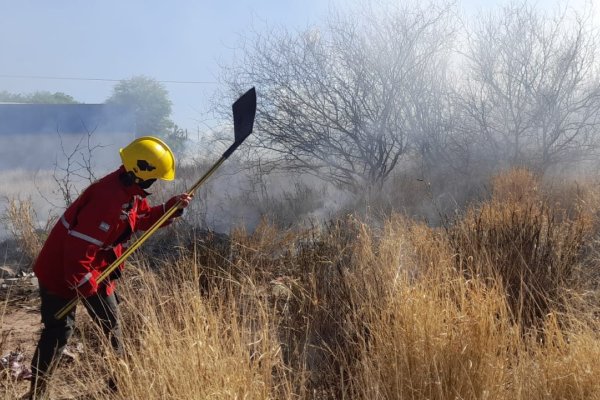Sofocaron incendio forestal en barrio Las Agaves de la Capital
