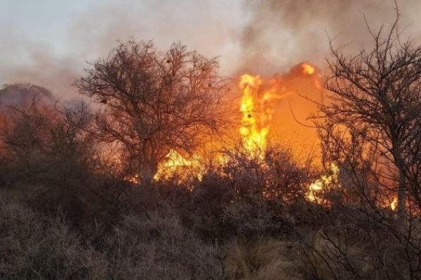 Se registraron 30 incendios durante el fin de semana en La Rioja