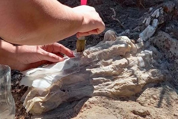 Encontraron un fósil de 8.500 años en la localidad rionegrina de General Conesa