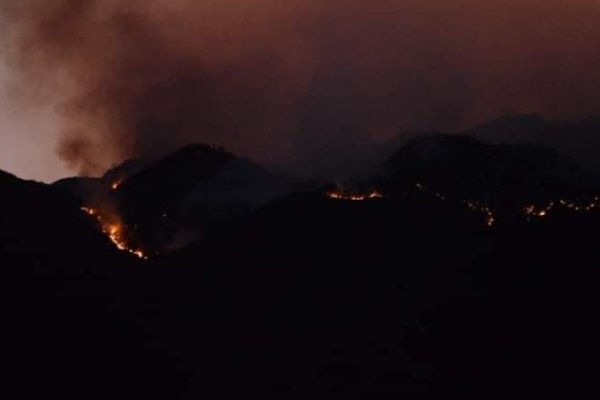 En casi 2 días, 240 hectáreas ya fueron consumidas por los incendios forestales en Olta