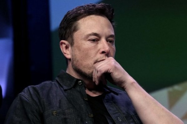 Cambios en Twitter: Elon Musk planea echar a la mitad de los empleados