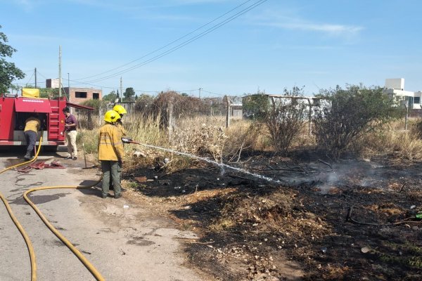 Devastadores efectos dejan los incendios en los Llanos