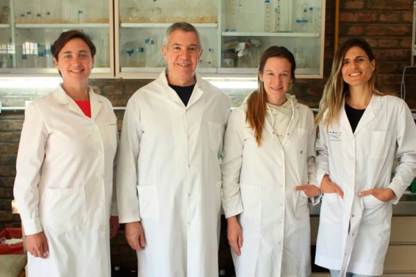 Científicos mendocinos demuestran el “efecto protector” de un tradicional producto argentino frente al cáncer de próstata
