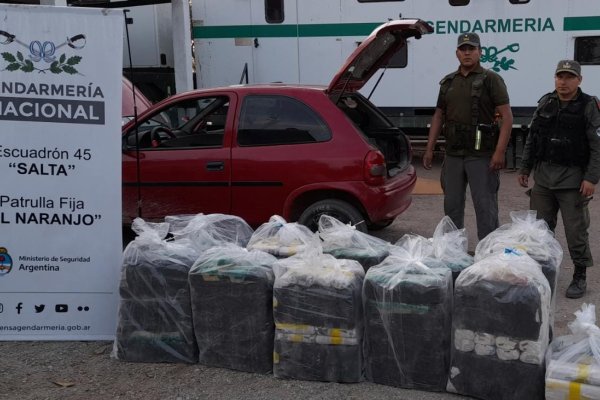 Viajaban hacia Tucumán con 260 kilos de hojas de coca en estado natural