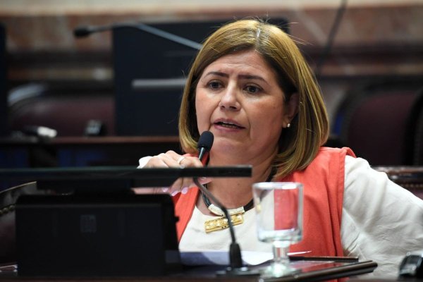Juntos por el Cambio salió a pedir la banca de la senadora Clara Vega