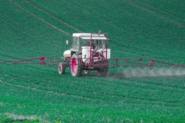 Una provincia rusa ofrece a Argentina coproducir semillas y equipos agrícolas