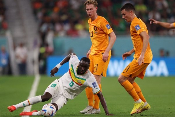 Países Bajos le ganó a Senegal y comparte la punta del Grupo A con Ecuador