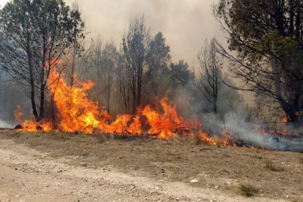 Dos focos de incendios forestales se encuentran activos en Catamarca y Corrientes