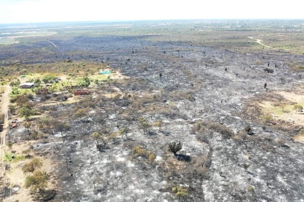 El incendio en Paraje Juan Caro arrasó con más de 40 hectáreas