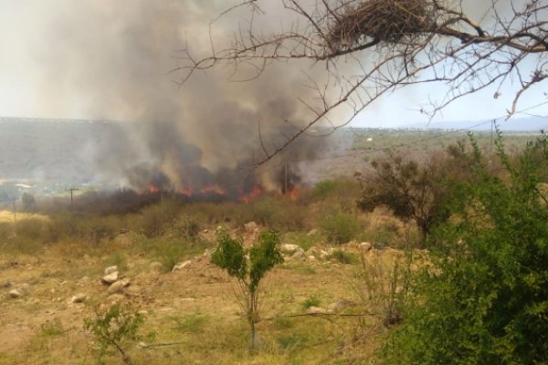 “Por la cantidad de incendios, se ha puesto en alerta a todo el sistema de Salud de la provincia”