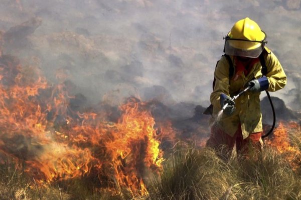 Incendios forestales: siete provincias registran focos activos