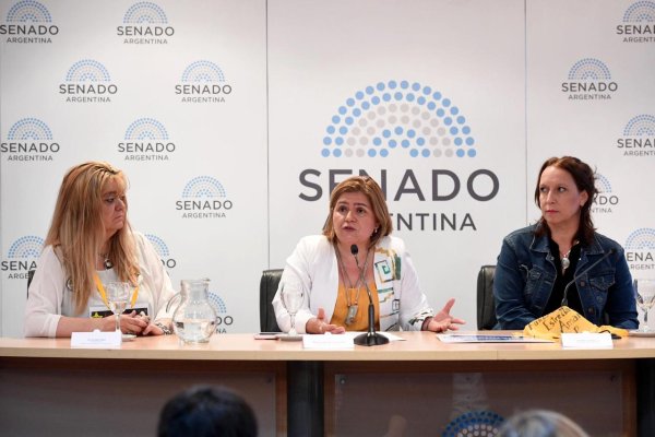 Clara Vega realizó la presentación del proyecto Alcohol Cero al volante en el Senado