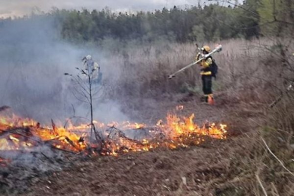 Tierra del Fuego: un incendio ya afectó cerca de 5.000 hectáreas de bosque nativo