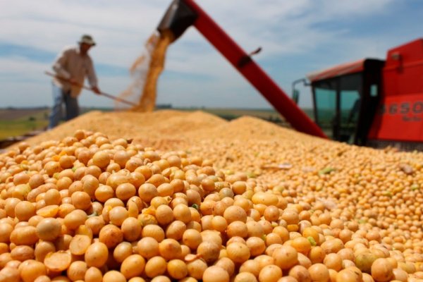 Productores vendieron casi 400.000 toneladas de soja y acumulan 2,71 millones
