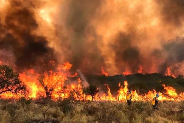 El Gobierno extendió por un año la emergencia por incendios forestales