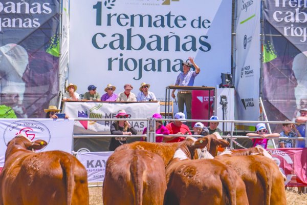 Mejor Riojanas culminó un 2022 con desafíos cumplidos